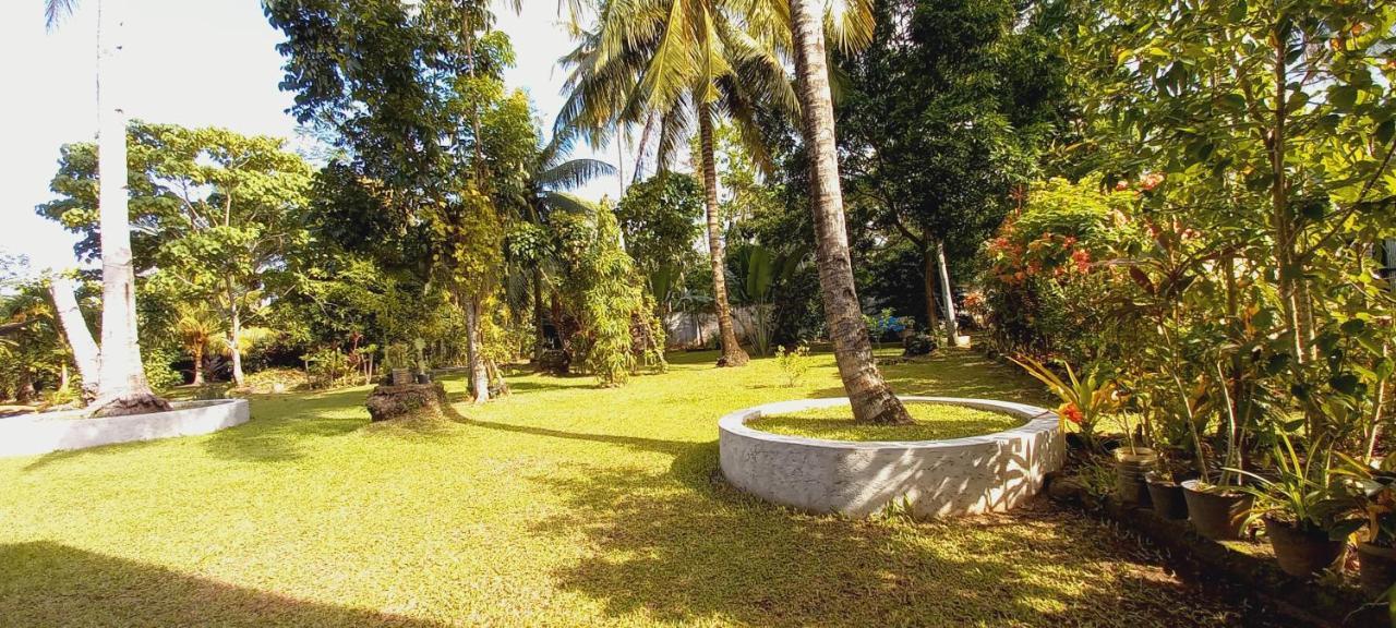 Bat Tree Cottages Agoho Esterno foto